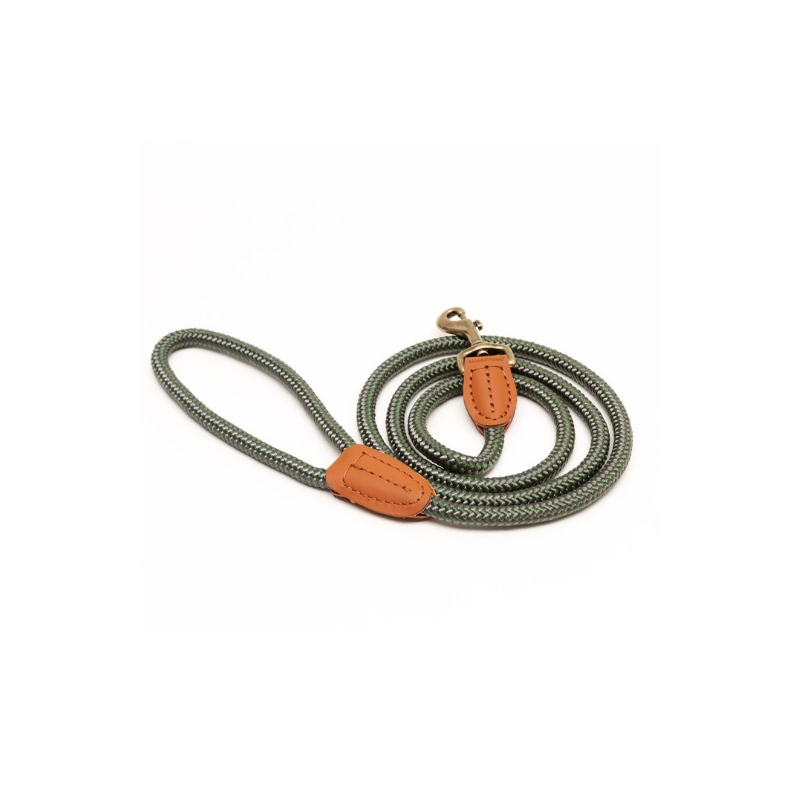 Rope leads best sale for small dogs